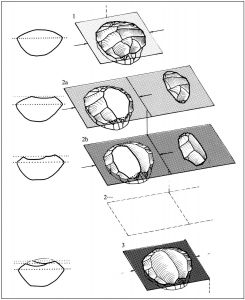 图1-4 levallois概念：石核的构型特征及其剥坯结果（据E. Boëda，1994，fig.1）