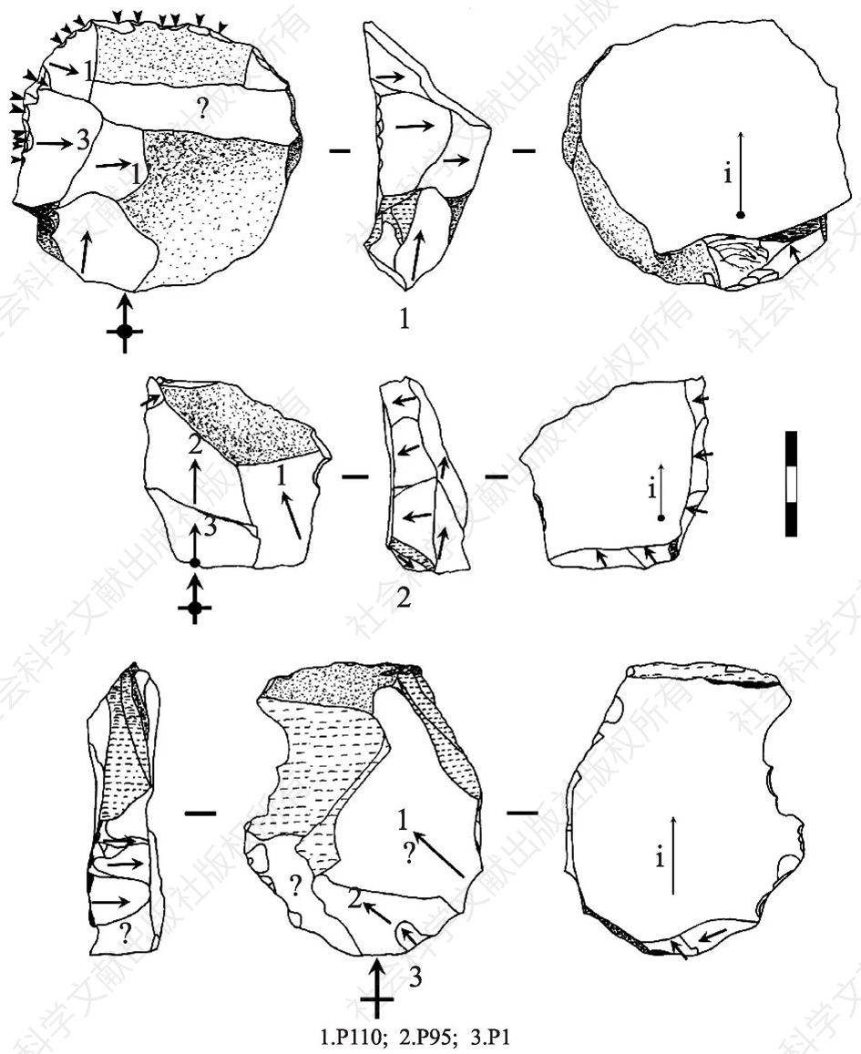图2-169 大洞遗址的石片和工具：P110，P95，P1