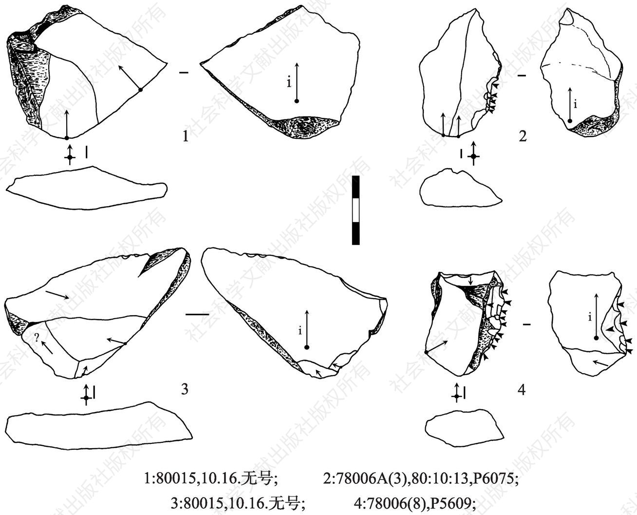 图2-175 大荔人遗址石片和工具的技术分析