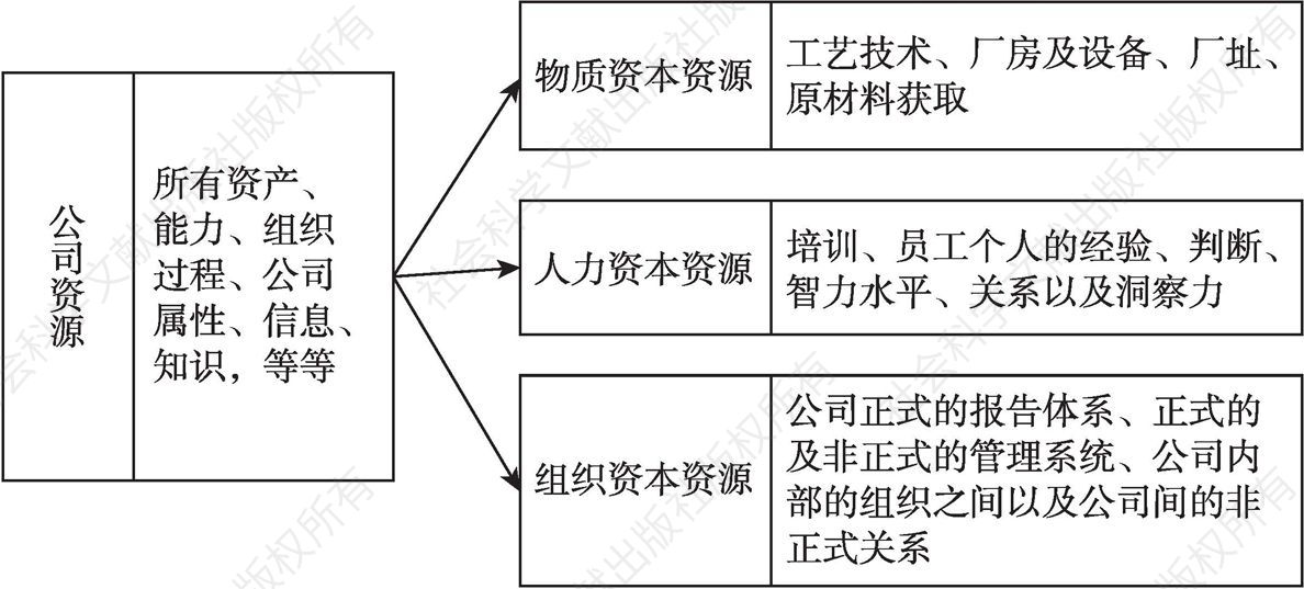 图3-1 Barney对企业资源的类型划分