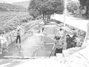 图7-1 村民们自发对溪沟进行清理整治