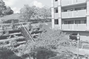 图1 下沉式花园采用阶梯式立体绿化营造沉浸式景观（メリィハウス西风新都）