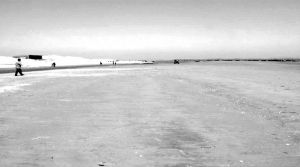 图2 文登五垒岛湾一带砂质岸线