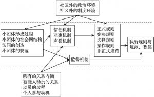 图2-1 一个自组织治理运作机制（过程）的理论架构