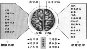 图4-9 人脑的功能