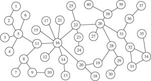 图3-5 40名艾滋病患者的性关系网络