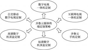 图3-4 齐鲁云媒体终端定制策略