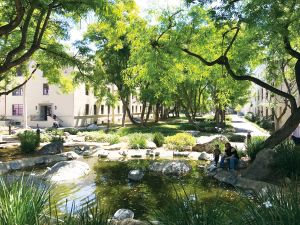 加州理工学院 校园里的乌龟池塘