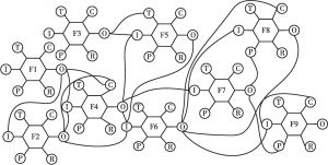 图3 FRAM功能共振网络