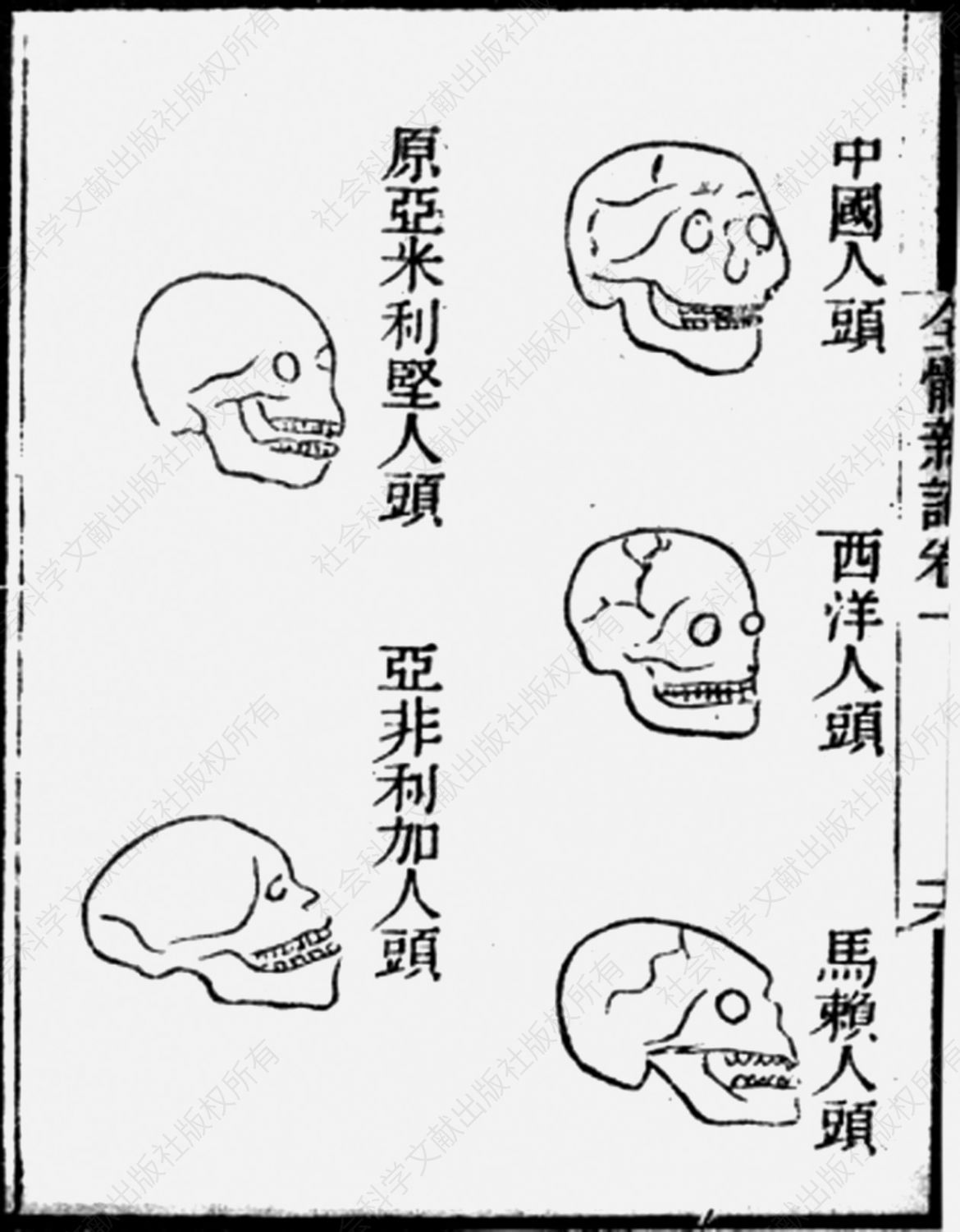 图6-1 《全体新论》中之“五种人”头骨图