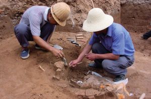 考古队员清理出土卜骨（2004年，小屯南路）
