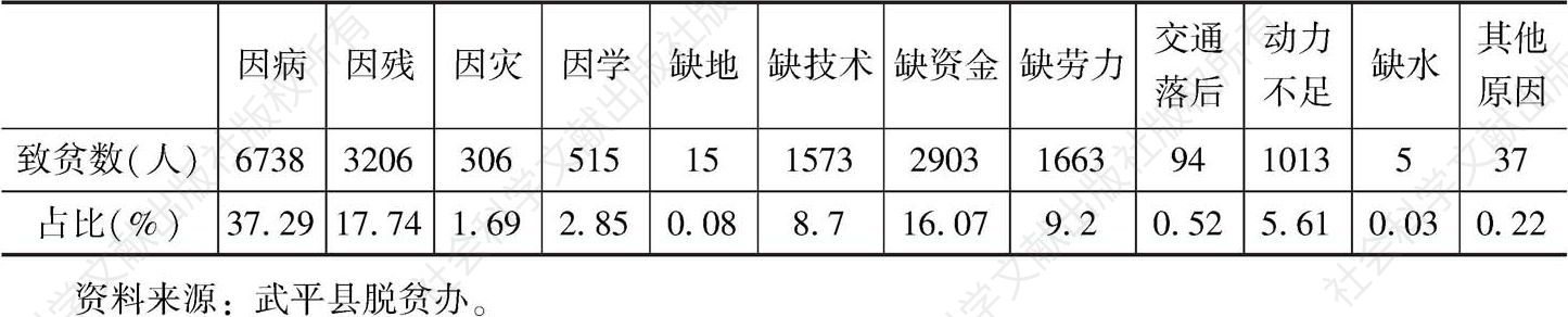 表4-1 武平县不同致贫原因的贫困人口基本资料表