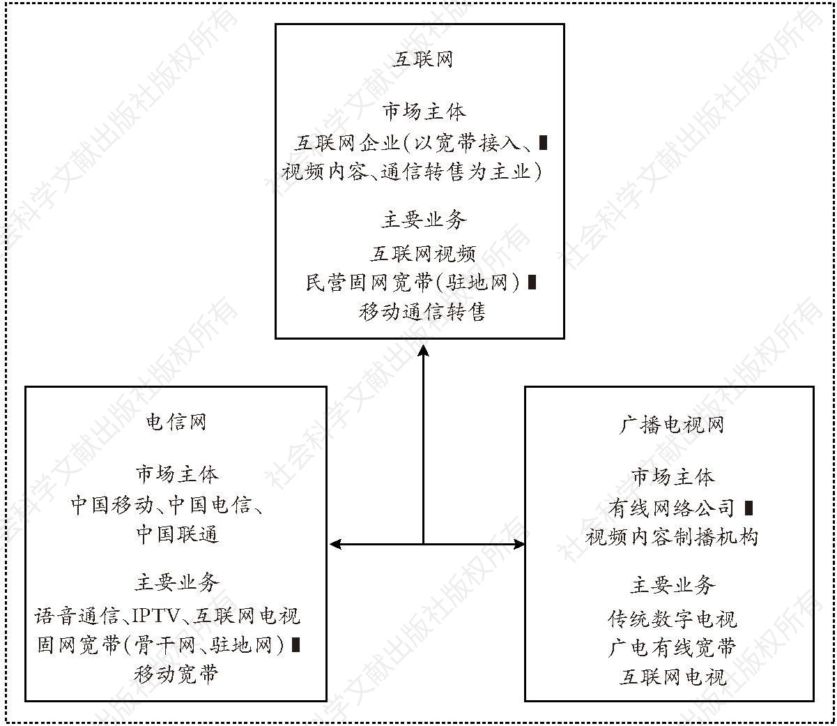 图2-2 三网融合产业组织示意