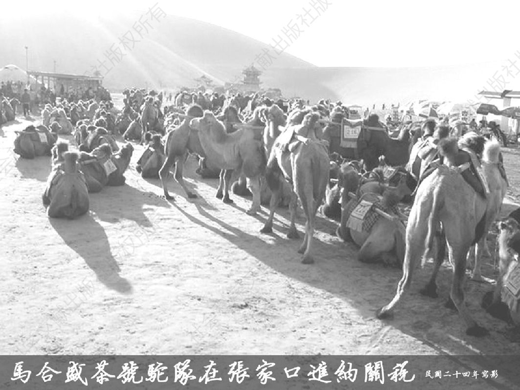 图1 民国二十四年（1935年），马合盛茶号驼队在张家口进纳关税