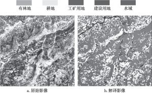 图9 基于遥感影像的土地利用/覆被信息分类