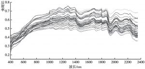 图10 土壤样点高光谱曲线