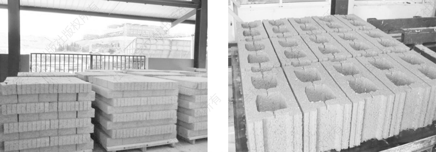 图5 用建筑废弃物再生骨料制备的混凝土实心砖和空心砌块