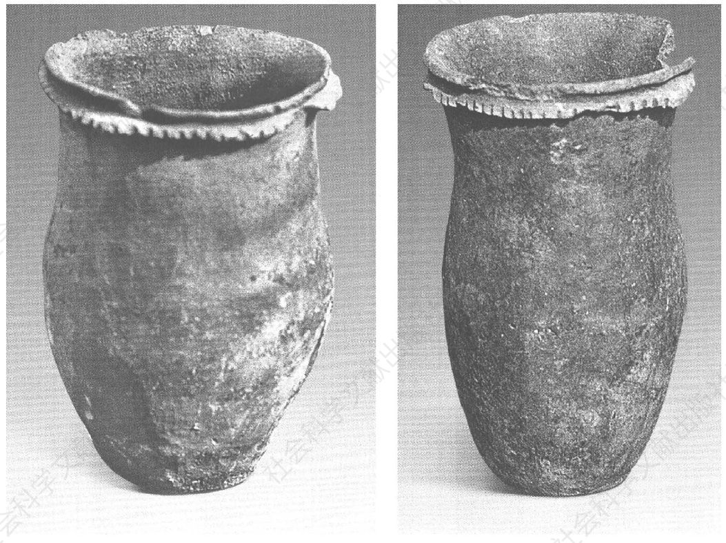 图3 宁安市虹鳟鱼场渤海墓葬中出土的两陶罐