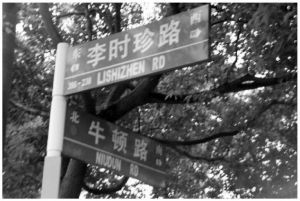 上海浦东纪念中外文化名人的街道