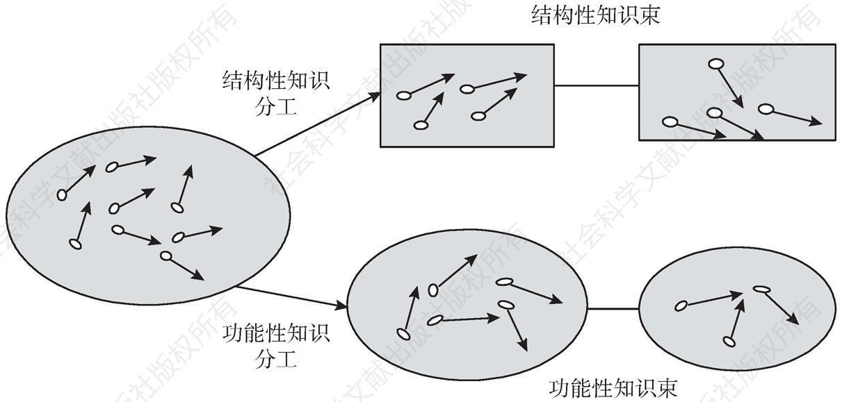 图7-8 以知识为基础的组织分工