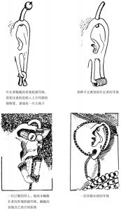 图4 伦迪勒人的耳饰类型