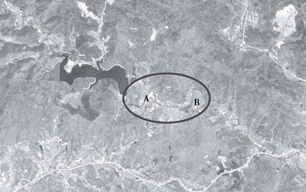 图1-3 凤岭村所在区域卫星图片