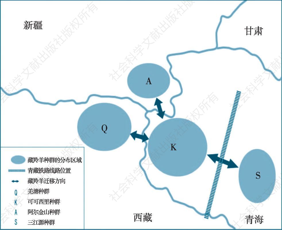 图4-9 青藏高原地区藏羚羊种群分布及迁徙情况示意图