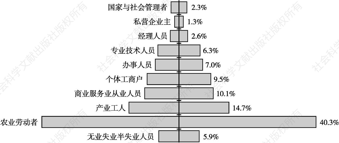 图9-2 2006年中国社会阶层结构