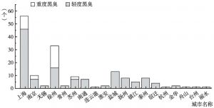 图4 长江三角洲城市群黑臭水体分布情况