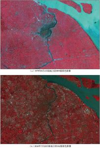图6 上海市陆地卫星影像