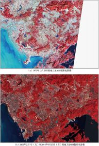 图15 深圳市陆地卫星影像