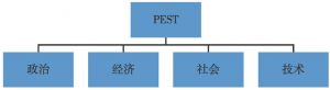 图1-2 PEST模型