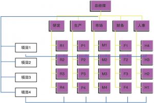图4-6 矩阵制结构