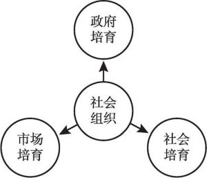 图4 社会组织三元培育机制