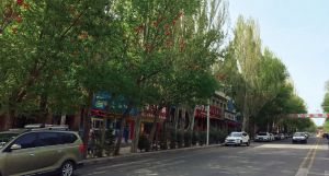 图8 老君庙街景―红色灯笼挂在绿色杨树上