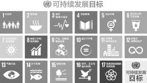 图7 联合国可持续发展目标（SDGs）