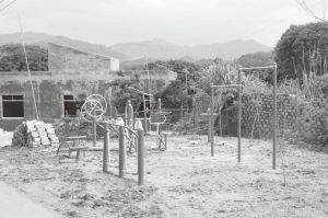 图4-2 打安村村中的体育健身器材