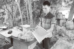图4-9 打安村养蜂大户展示蜂蜜