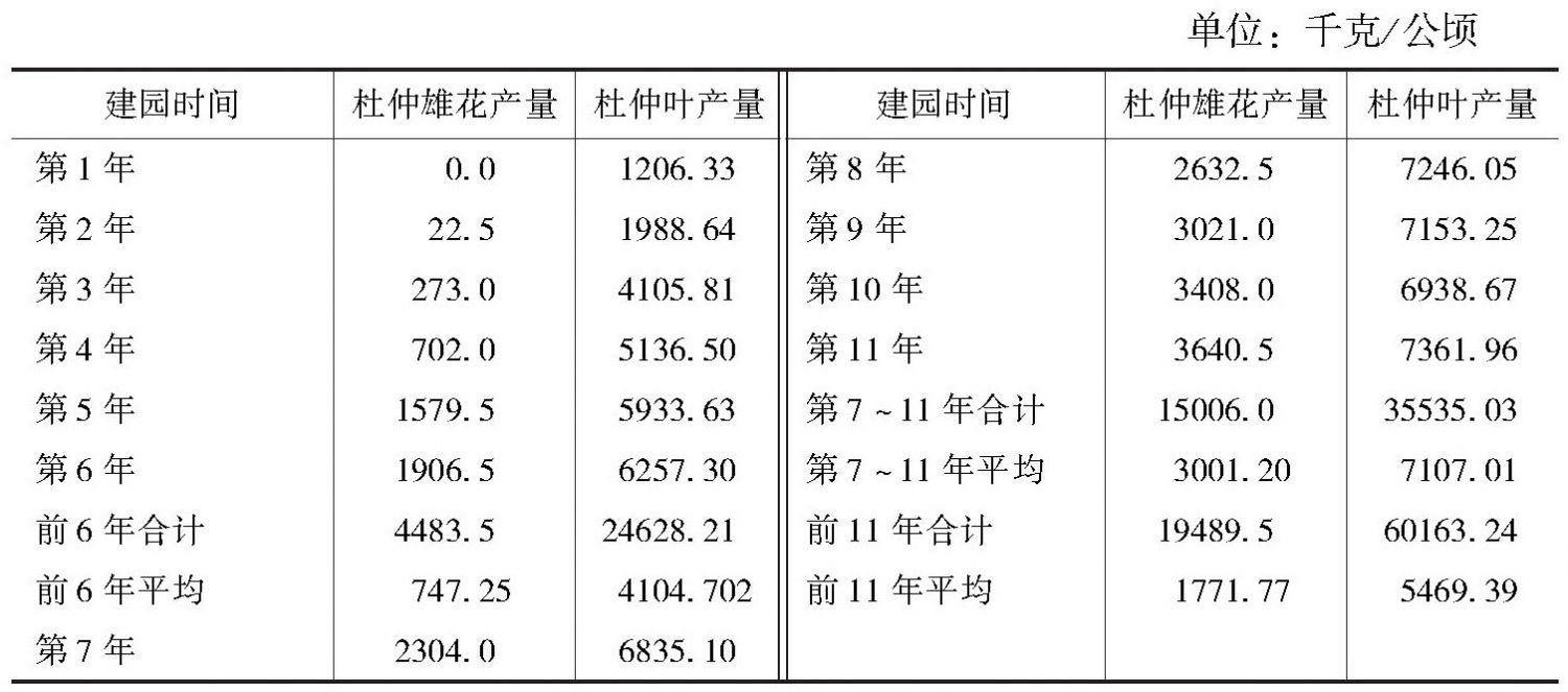 表6 杜仲雄花高产园栽培模式雄花产量