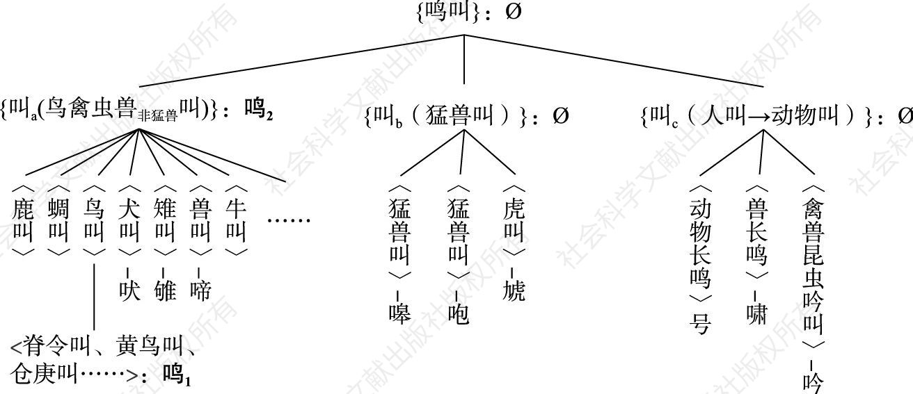 图3-1 上古汉语｛鸣叫｝的概念层级