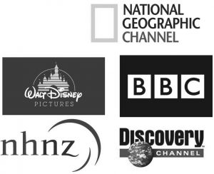 图4-1 国际品牌自然类纪录片制作公司标识