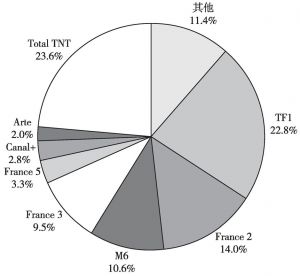 图1 2013年法国电视频道收视份额