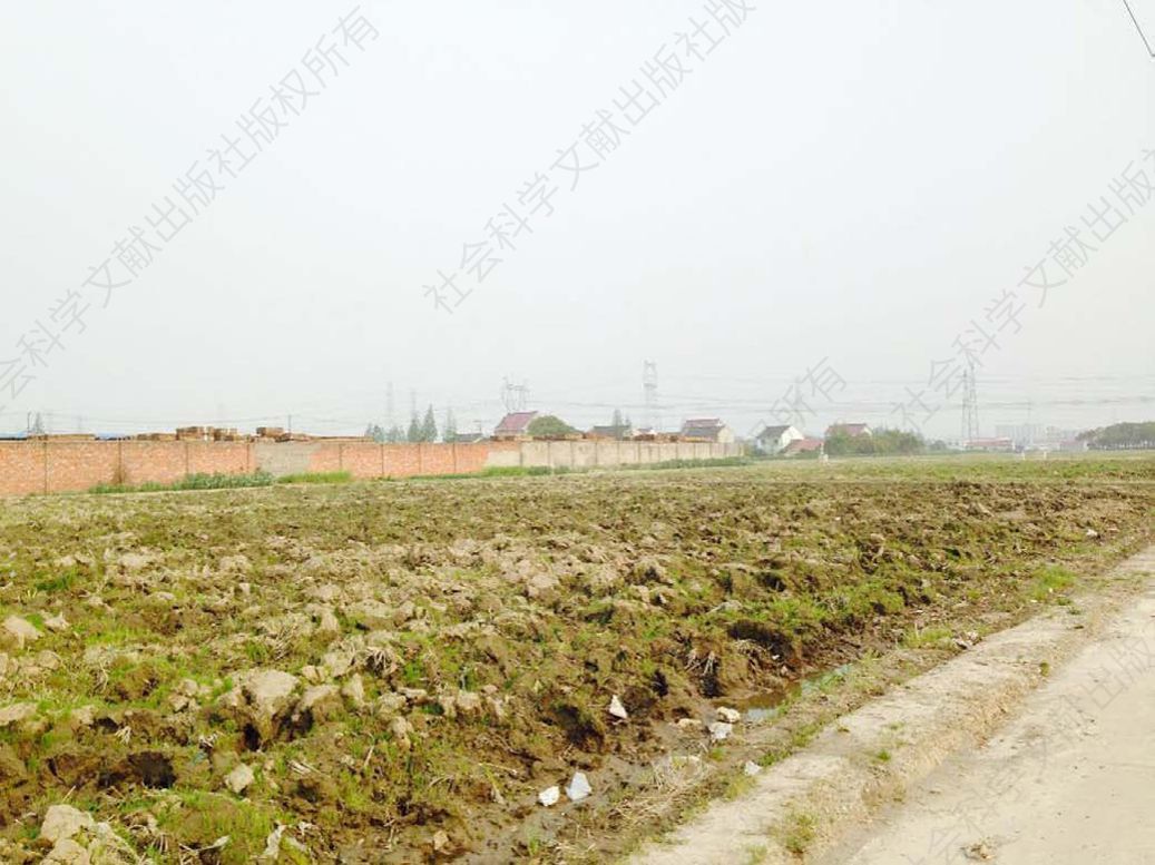 图3 上海市奉贤区村庄中正在进行复垦的工业用地