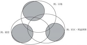 图3 包含暧昧领域的三个体制