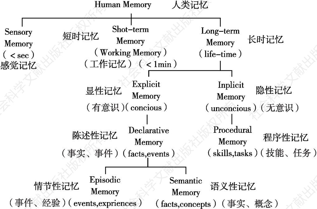 图1 人类记忆的形态图示（笔者增加汉语意义）