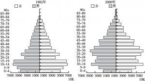 图2-8 中国人口年龄金字塔